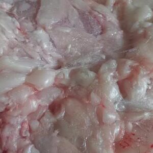 10斤99元清真牛油新鲜腰窝油火锅底料味道鲜香生牛油精品牛腰油