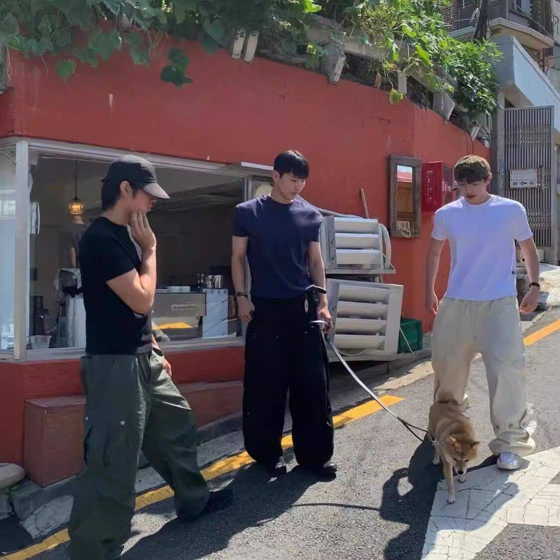 889撸袖口T恤训练铁狗男潮纯色运动垫肩短袖健身肌肉兄弟美式跑步