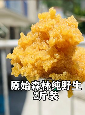 甘肃康县深山土蜂蜜百花蜜 老巢三年割一次2斤装