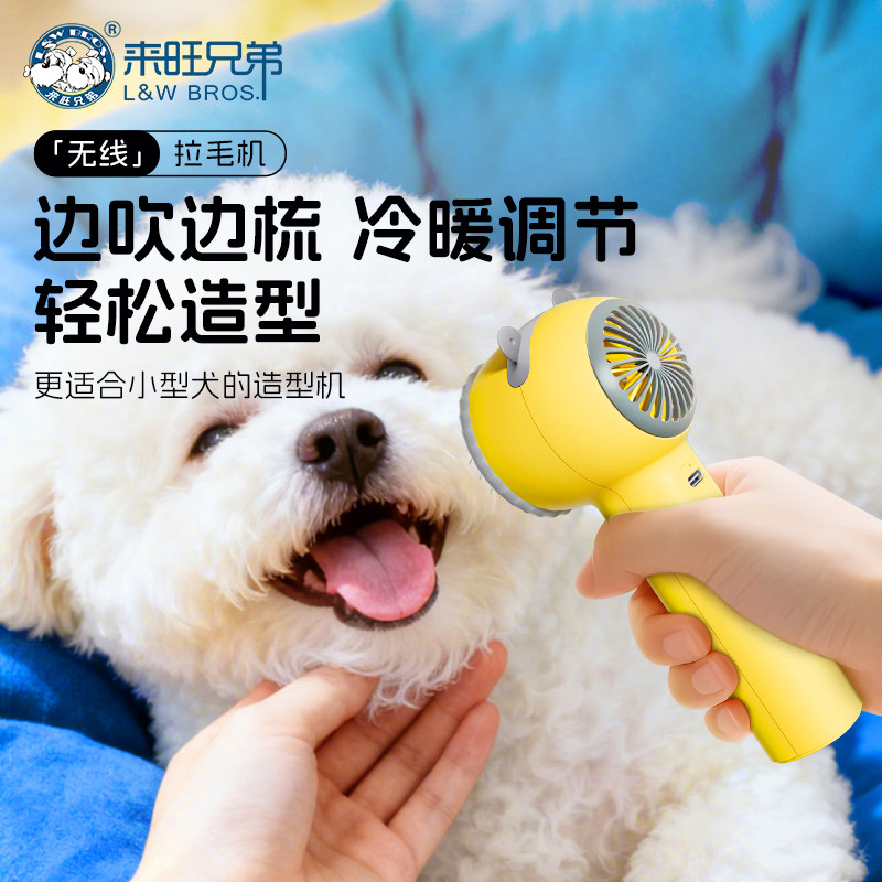 宠物吹风机狗狗面部吹干梳毛柔风拉毛小型犬电吹风无线烘干神器