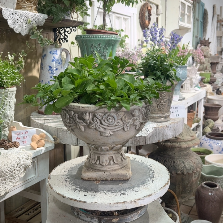 奖杯花盆,家居饰品,花盆,淘宝优惠券,粉丝福利购,淘宝优惠卷