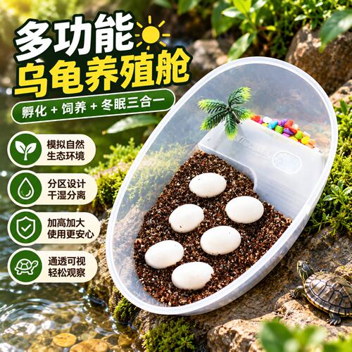 小宠物~可孵化乌龟蛋DIY套装全款