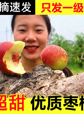 正宗珍珠枣油桃小公主油桃珍珠枣蜜桃枣桃枣味小桃子新鲜水果现摘