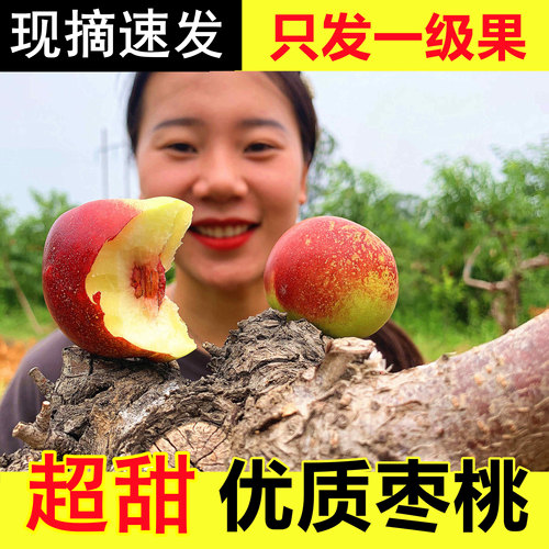 【正宗】抢！珍珠枣油桃！甜~