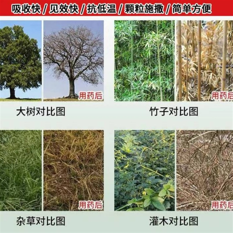 除杂草杂树杂竹子方便四季通用枯h树粉不返青除树粉颗粒除树剂 农用物资 助剂 原图主图