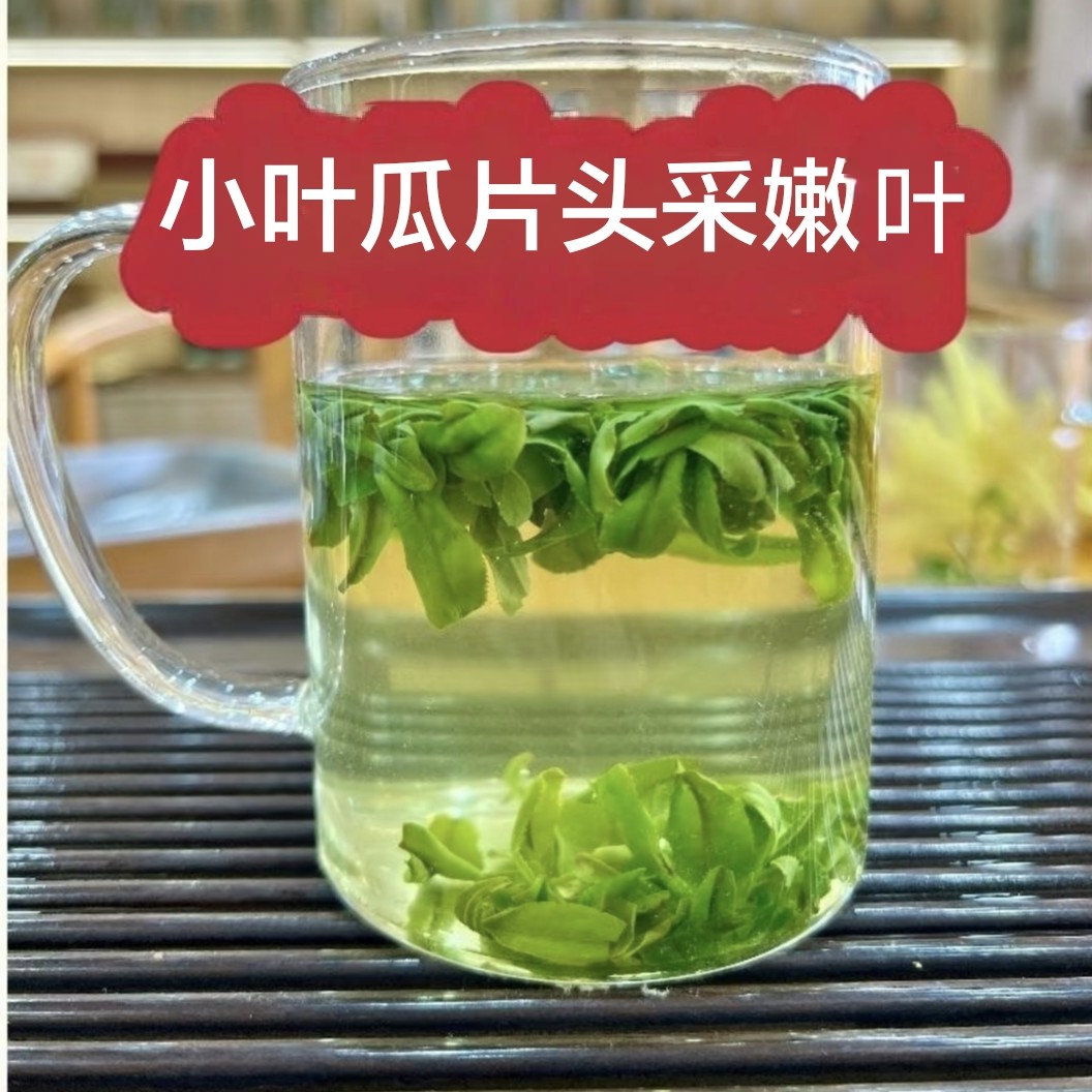 2026新茶六安瓜片茶安徽特产茶叶小叶瓜片明前头采嫩叶正宗绿茶