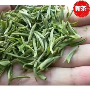 舒城小兰花2025年新茶安徽特级高山雨前绿茶浓香型500g罐装送礼袋