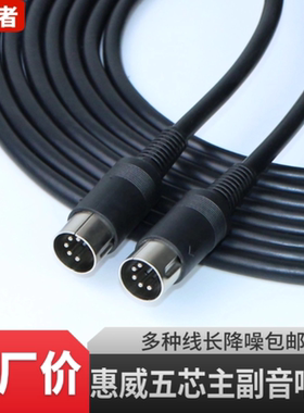 漫步者R2000DB五芯主副音响连接线A80 S201 S1000S2000MKII音箱线