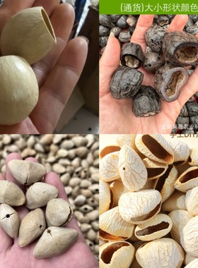 果壳风铃材料包挂件diy自制果壳音疗夹竹桃水铃铜黑果花豆蔻凤凰