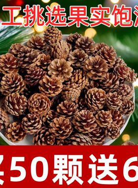 松果100个混合尺寸手工diy装饰松果画幼儿园圣诞松果一手货源批发