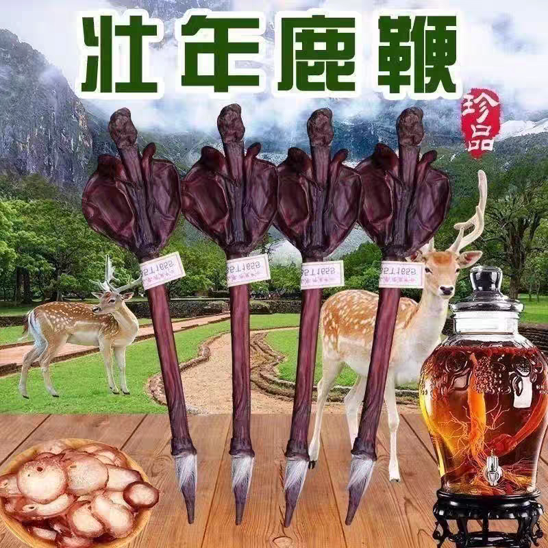 吉林长白山梅花鹿鹿鞭成年状鹿整枝正宗整根正品泡酒正品泡酒料