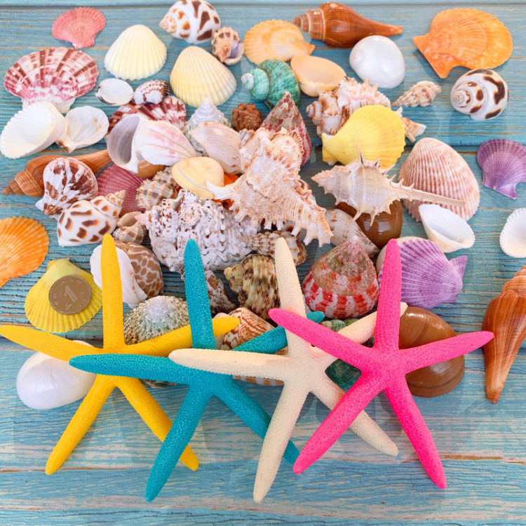 幼儿园环创区角素材手工材料小班美工区区域装饰大班教室作品墙