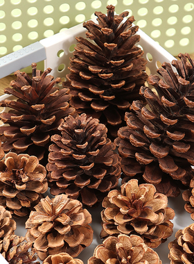 天然松果diy材料松塔装饰摆件幼儿园环创配件小干花手工树枝大球
