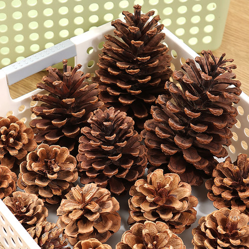 圣诞松果幼儿园手工diy材料