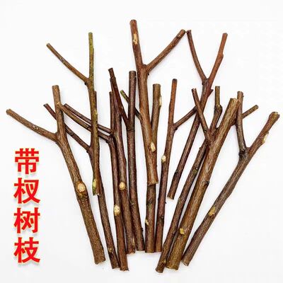 树枝装饰小树杈干树枝diy手工幼儿园森系挂饰材料环创布置装饰品