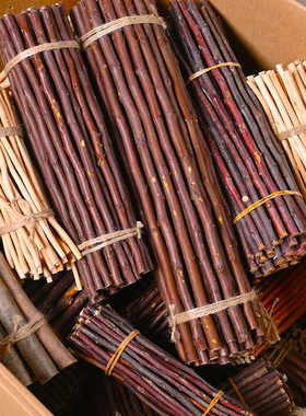 木棍树枝树干装饰diy手工材料幼儿园环创摆件细小自然松果木头条