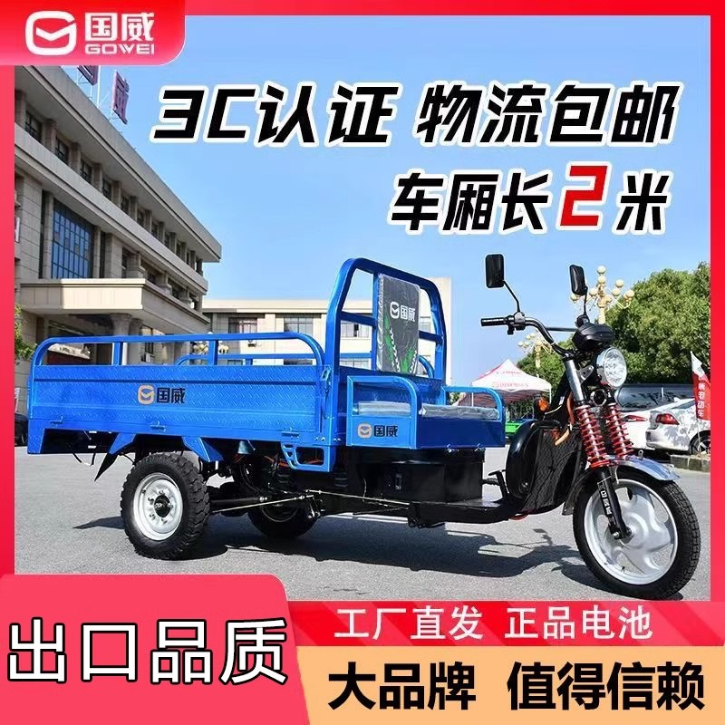 国威成人家用电动三轮车大功率水载人电三轮
