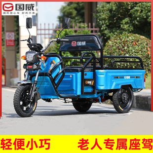 国威电动三轮车国标小型载人农用载重拉货成人接送孩子老人代步
