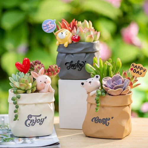 创意多肉花盆小可爱小猫小狗