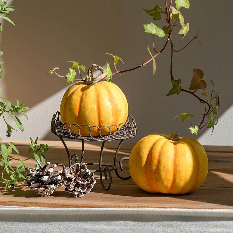 迷你铁艺装饰小桌子 果盘花园杂货复古摆件 创意贝贝南瓜陈列架