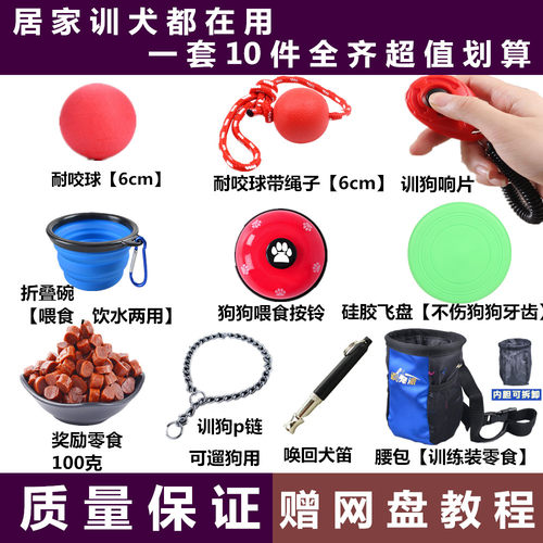 教程哨马犬训练宠物训犬狗狗用品