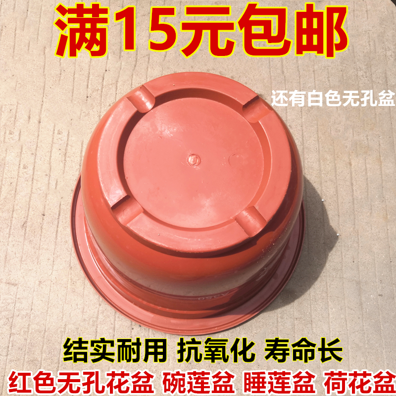 红色睡莲盆碗塑料无孔不漏水大号