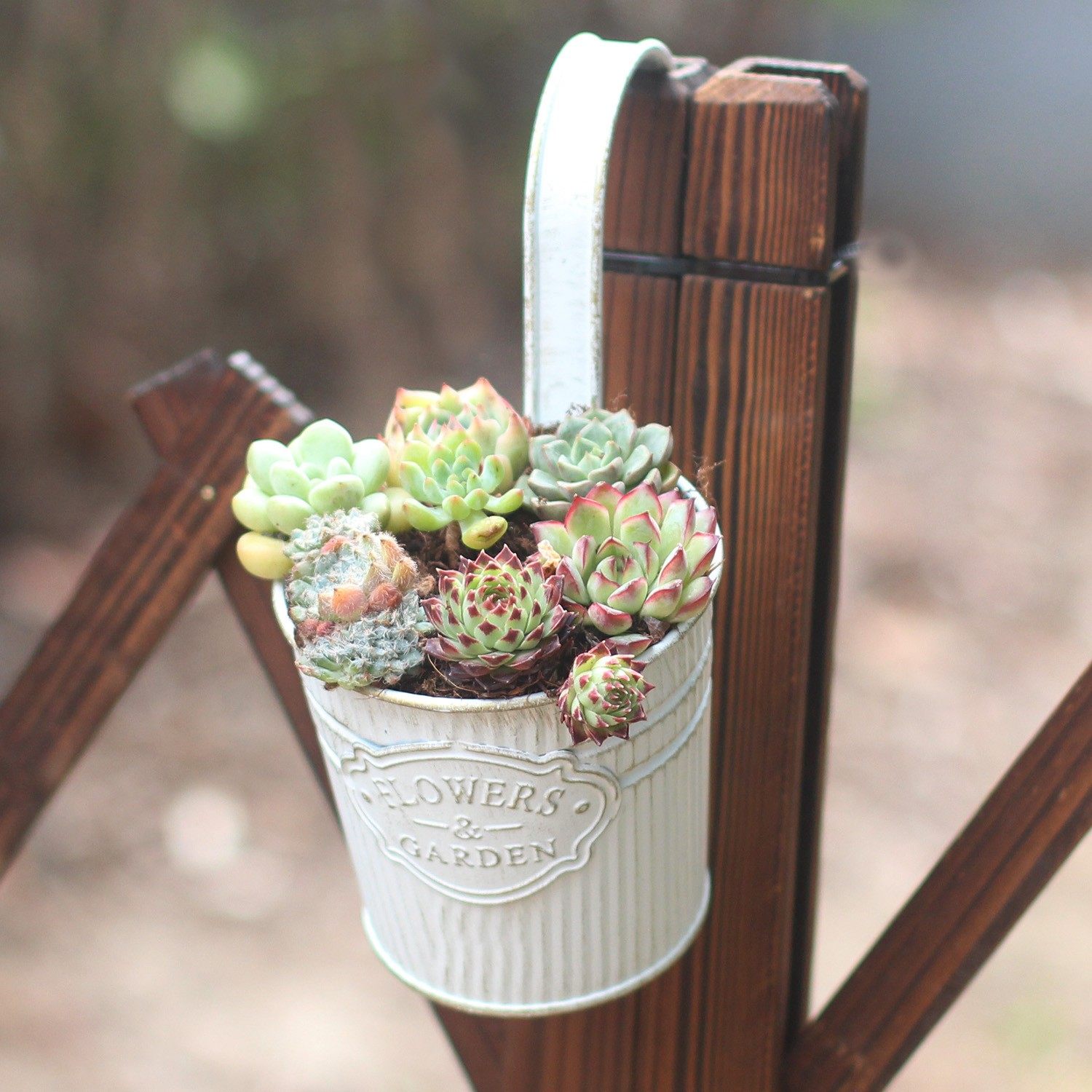 复古仿旧黑白铁皮花盆桶椭圆挂钩盆田杂货实用花盆有底孔阳台花园,家居饰品,花篮,淘宝优惠券,粉丝福利购,淘宝优惠卷