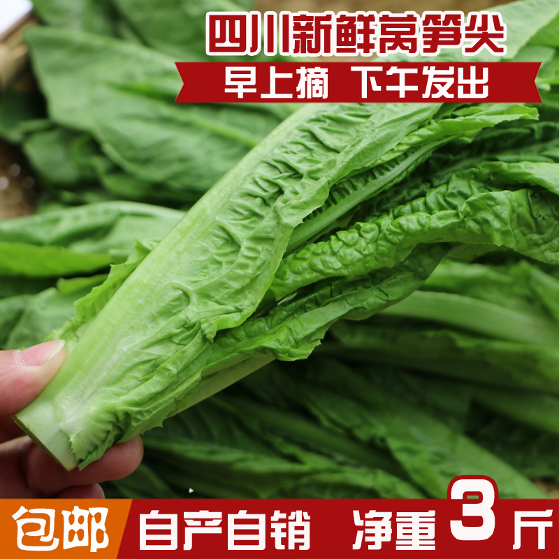 【周末烫火锅】新鲜凤尾莴笋尖