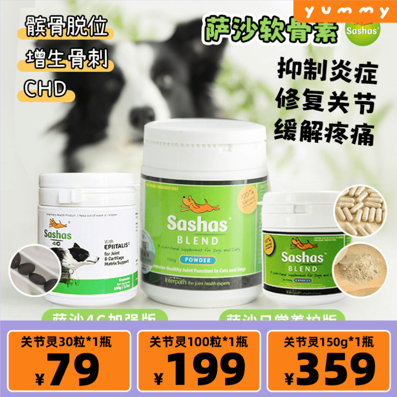 sasha软骨素边牧狗髌骨脱位修复