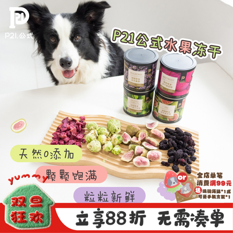 P21宠物零食水果冻干主食伴侣