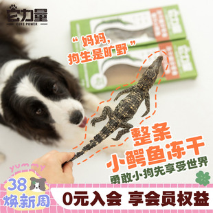 它力量小鳄鱼冻干狗狗猫咪食疗BARF猎奇蛋白质成幼犬磨牙洁齿零食