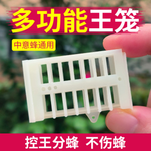 多功能囚王笼塑料防逃工具中意蜂专用介王笼装蜂王储王器隔王工具
