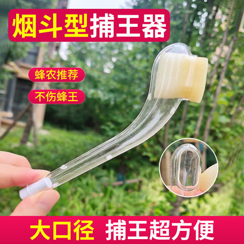 蜂王捕王器蜜蜂诱捕器塑料烟斗捉王器不伤蜂捕王工具蜜蜂王笼养蜂