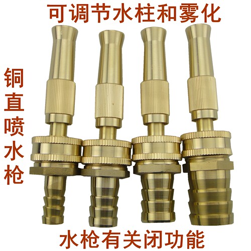 洗车水枪多功能家用全铜