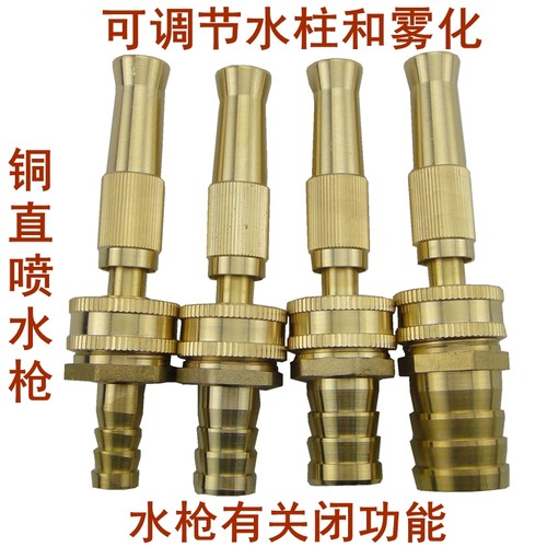 洗车水枪多功能家用全铜