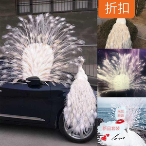 仿真白孔雀真羽毛摆件开屏米兰新娘婚纱摄影橱窗装饰家居工艺品