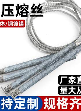 高压熔断器熔丝熔断件