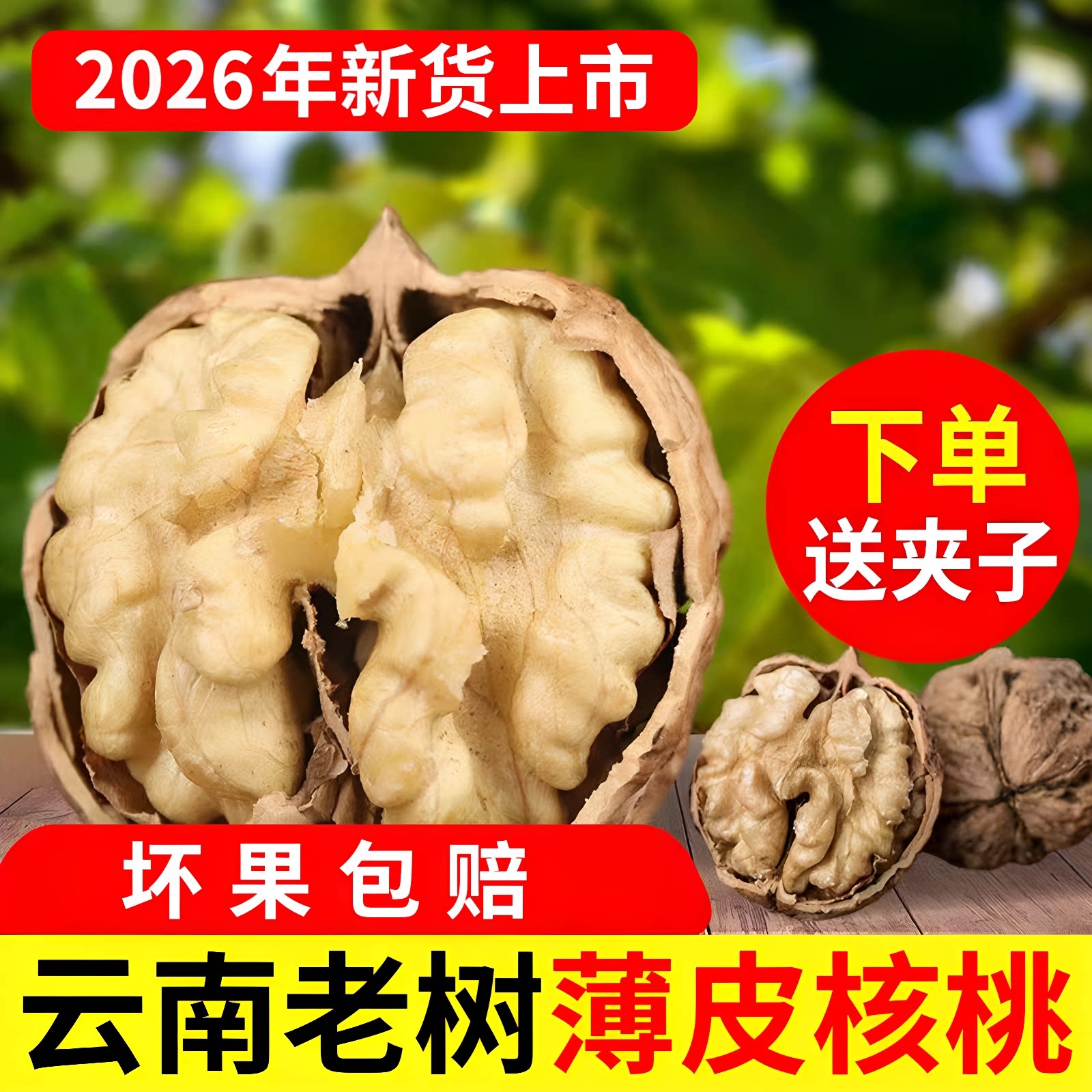 2026新货薄皮纸皮漾濞云南新鲜图片
