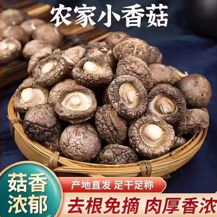 菌裕特产新鲜干香菇干货250g一斤椴木小香菇花菇木耳蘑菇商用批发