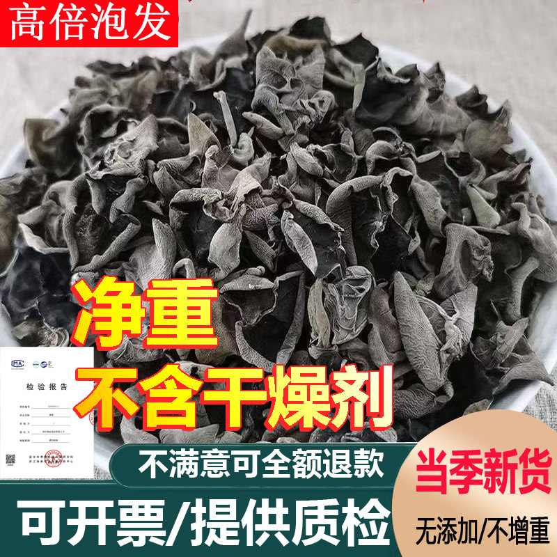 【菌裕】黑木耳干货500g级非野生秋木耳小碗耳长白山椴木干木耳 - 天下菇香出品