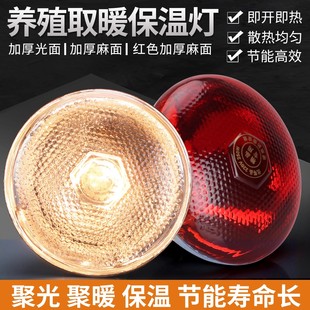 保温灯养殖场专用加厚猪仔红外线取暖保暖灯泡兽用烤灯猪夏季加热