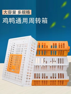加厚鸡框成鸡运输笼鸡用周转箱运输鸡笼塑料运输框鸡鸭鹅运输笼子
