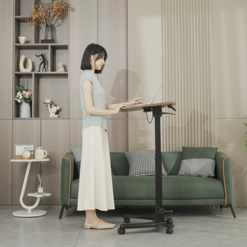 Frankwood书桌升降工作台