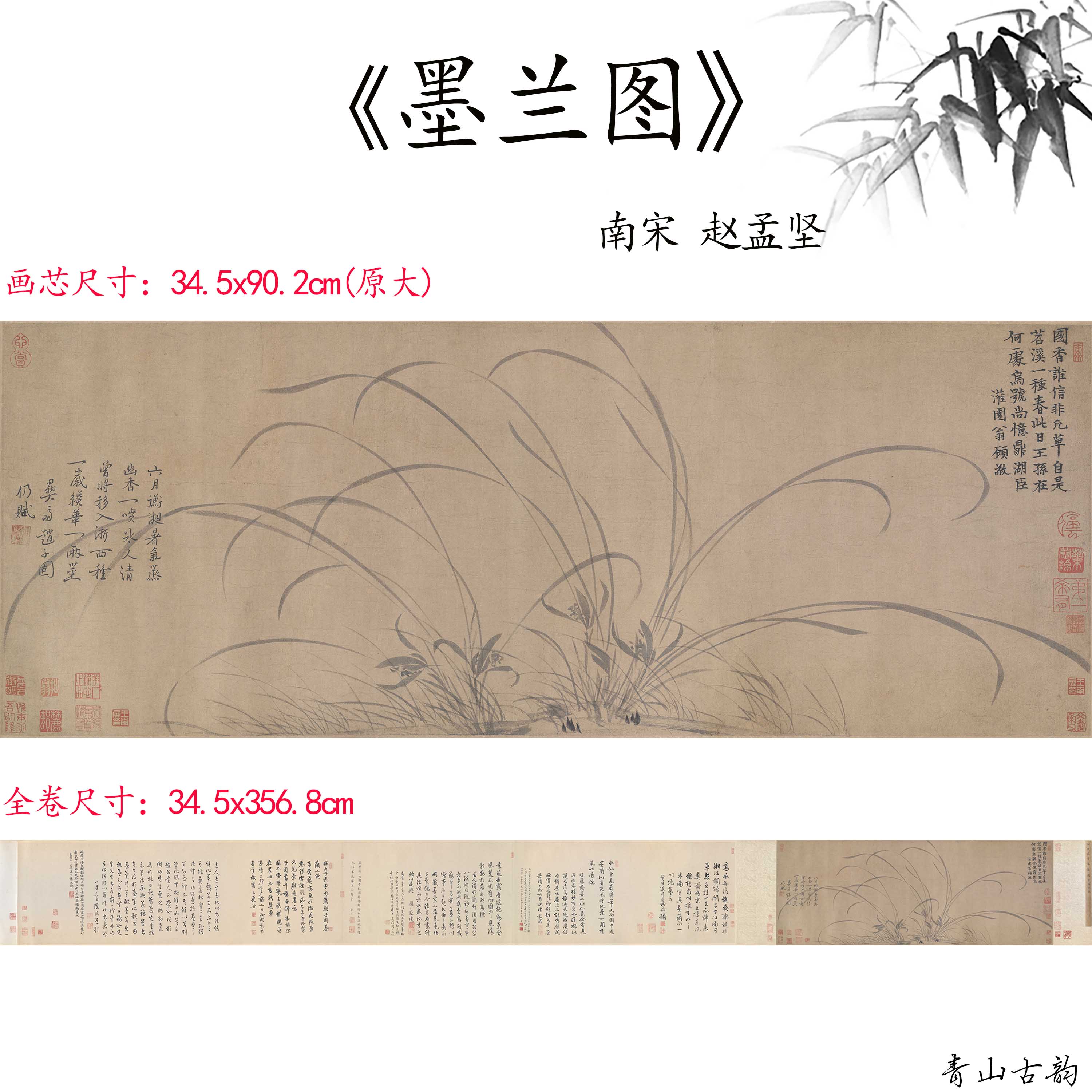 11南宋赵孟坚墨兰图卷