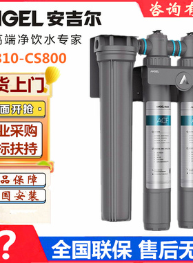 安吉尔商用J2810-CS800大流量前置过滤器超滤中央净水器餐饮厨房