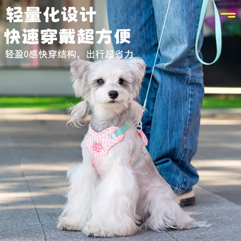 新款宠物牵引绳防挣脱可