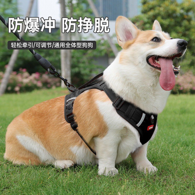 狗狗牵引绳防爆冲反光背图片