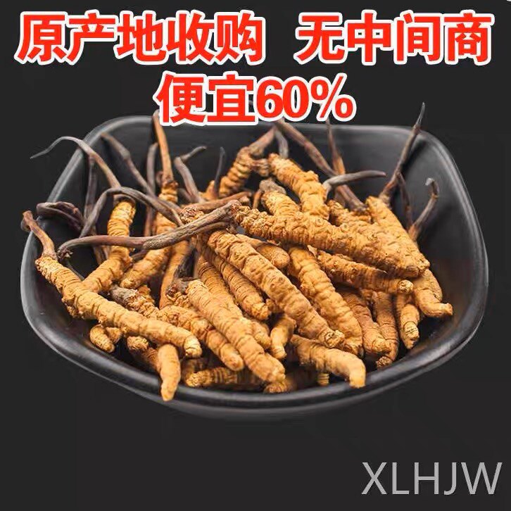 2-3根1克高原虫草精选冬虫草非那曲礼盒西藏冬虫夏草青海干虫草
