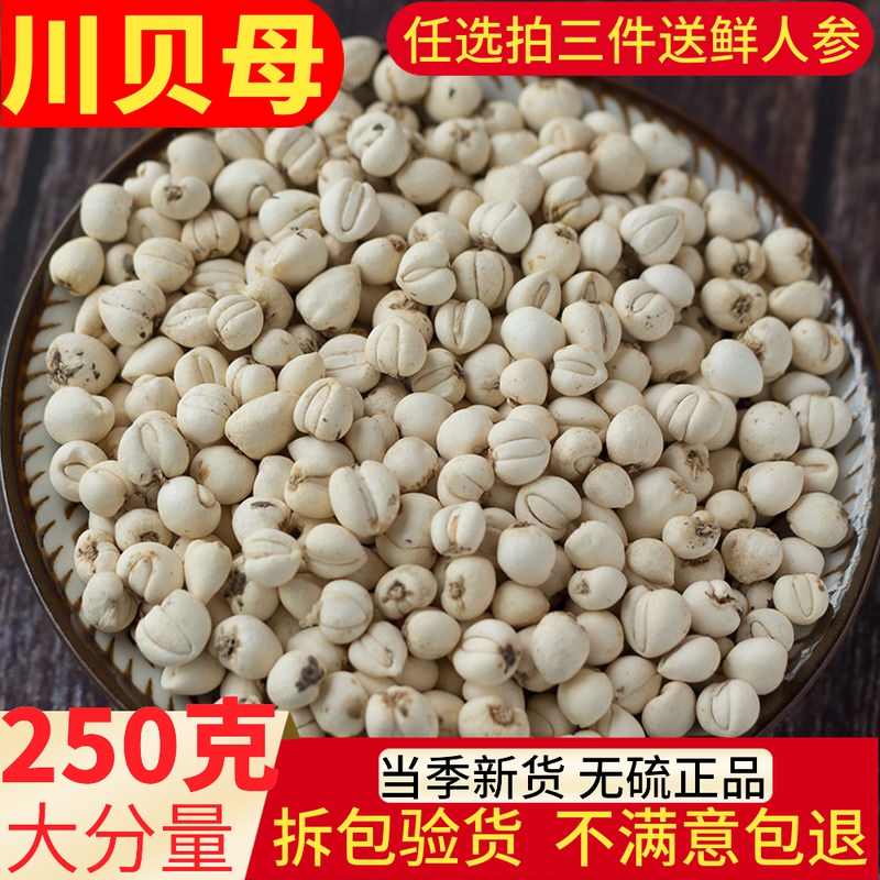 四川贝中药材250g克包邮 川贝粉 正品特级川贝母粉野生川贝粒