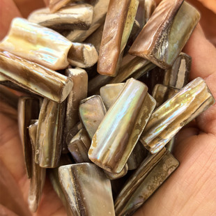 天然贝壳筋颗粒 DIY装饰画框材料配件 长条形约1x3cm 32元/公斤